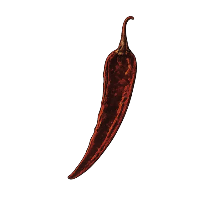 Ilustración de un chile